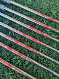 TaylorMade P790 Irons - X Stiff (4-PW) 1" longer NEW