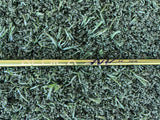 Ben Hogan Big Ben C.S3 Driver 10.5° Regular (Used)