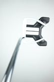 Taylormade Spider Daddy Long Legs Putter (USED) (USED)