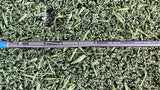 Titleist GT2 #4 Hybrid 21° Regular (NEW) - shaft